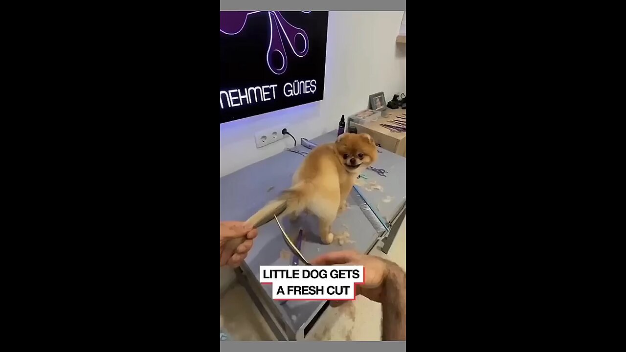 please like and follow ❤️