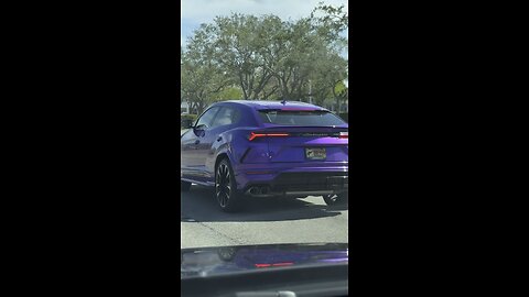 Lamborghini SUV and Porsche Rally to Marathon | 4K
