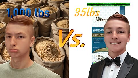 How Much Should You feed Chickens?