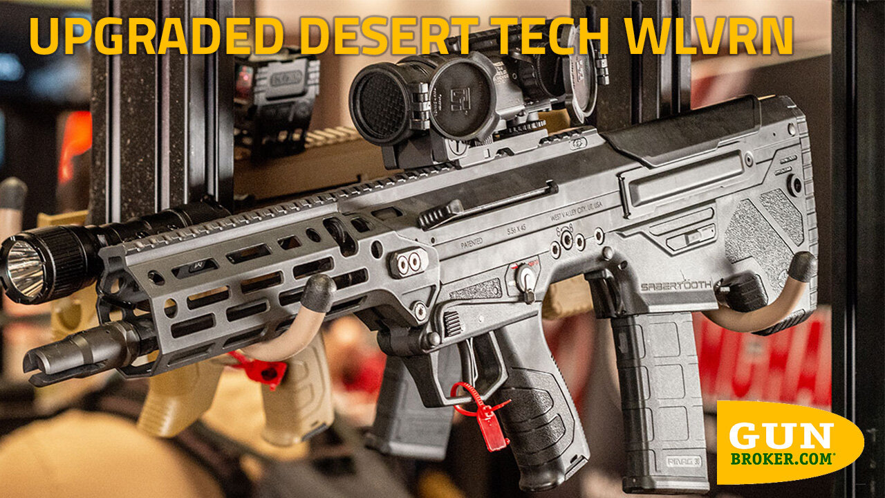 A Look at the Upgraded Desert Tech WLVRN: Lighter & More Accurate | GunBroker