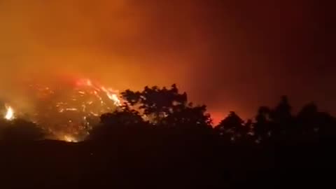 Turkey: Large forest fires on the outskirts of the city of Bursa in northwest Turkey