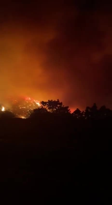 Turkey: Large forest fires on the outskirts of the city of Bursa in northwest Turkey