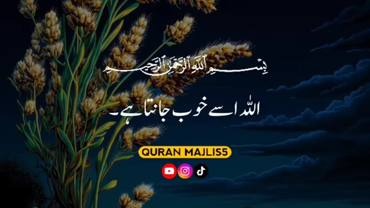 Beautiful video