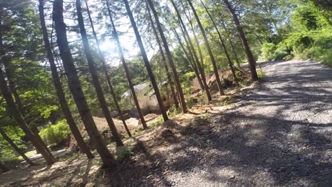 Bike ride on the Hamilton to Brantford Rail Trail near Jerseyville