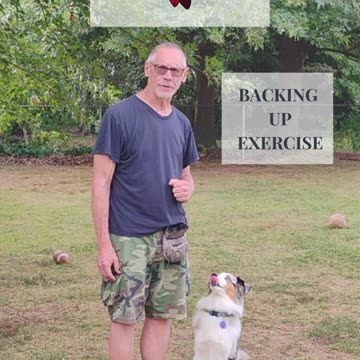 Structured Play Games Backing Up Exercise short 1