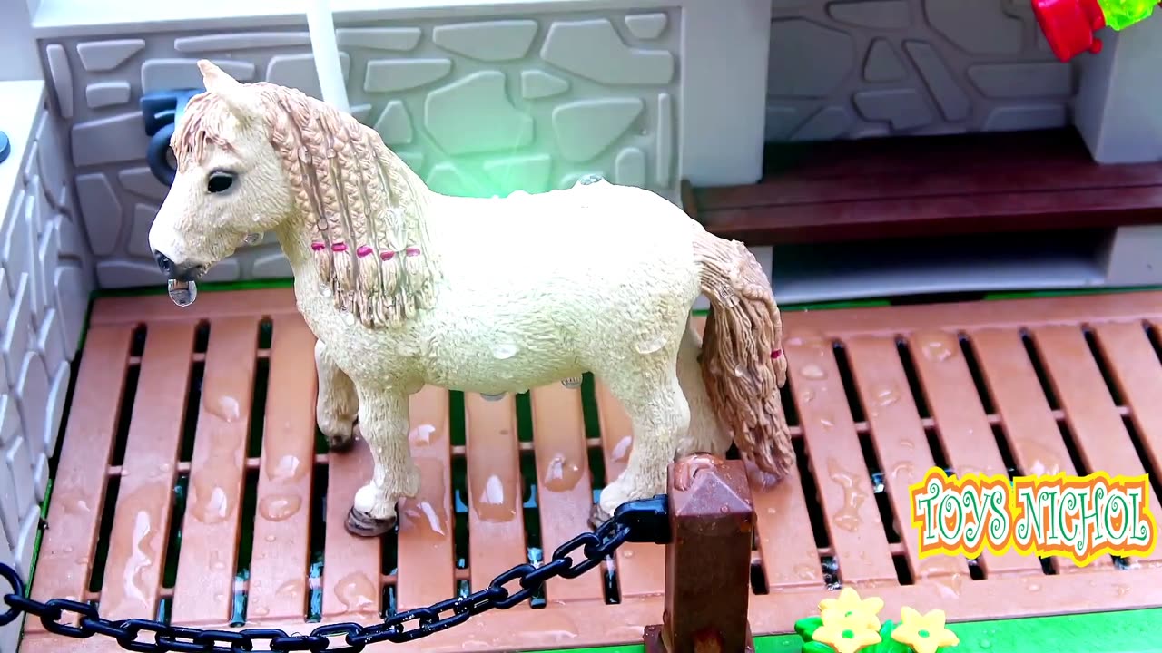 Pick Up Sheep Buried in the Sand in Front of Pen