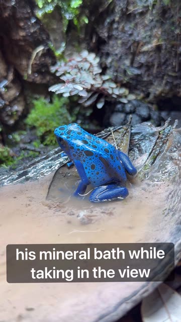 Clay bath With A View!
