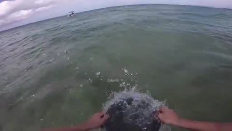 Eating a Giant Octopus! - Cooked on a Deserted Island