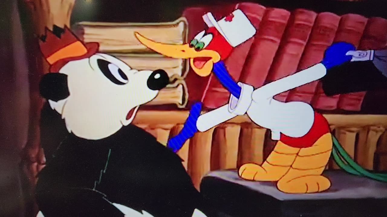 The Peckers in Washington