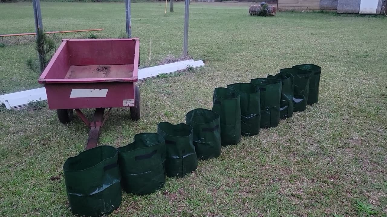 Finally getting something planted