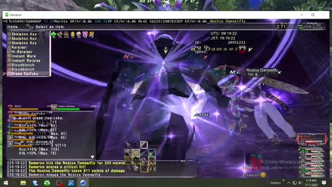 Playing Final Fantasy XI Online