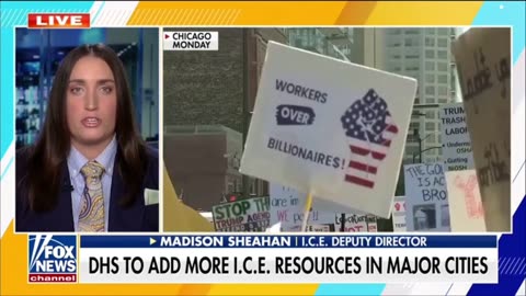 ICE Dep Dir: Democrat Run Cities Need ICE the Most