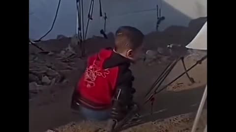 FREE PALESTINE.
