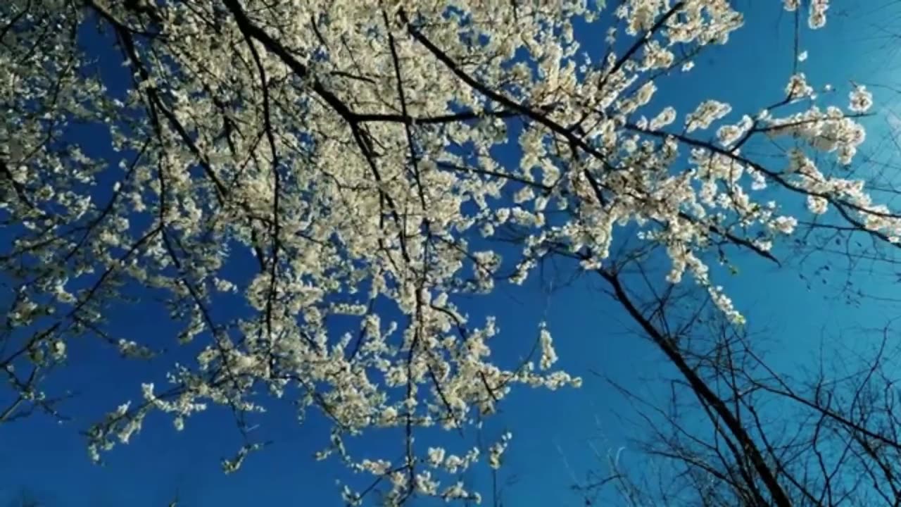 10 MIN DAILY TAI CHI JOINT MOBILITY AND RELAX - Healthy Joints and Relaxation for your Well-Being