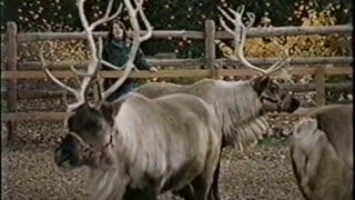 November 26, 2000 - New York for the Holidays