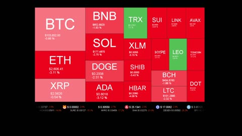 Live Coin Price Watch!