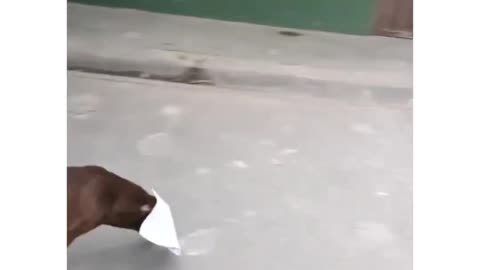 😂🔥 Hilarious Moments | Laugh Until You Cry