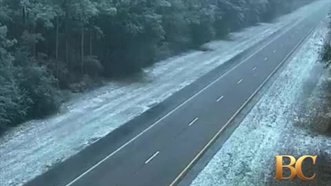 Fluffy Snow Falls on Florida Palms in Rare Weather Event