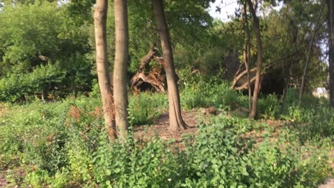 A Sad Labor Day Weekend