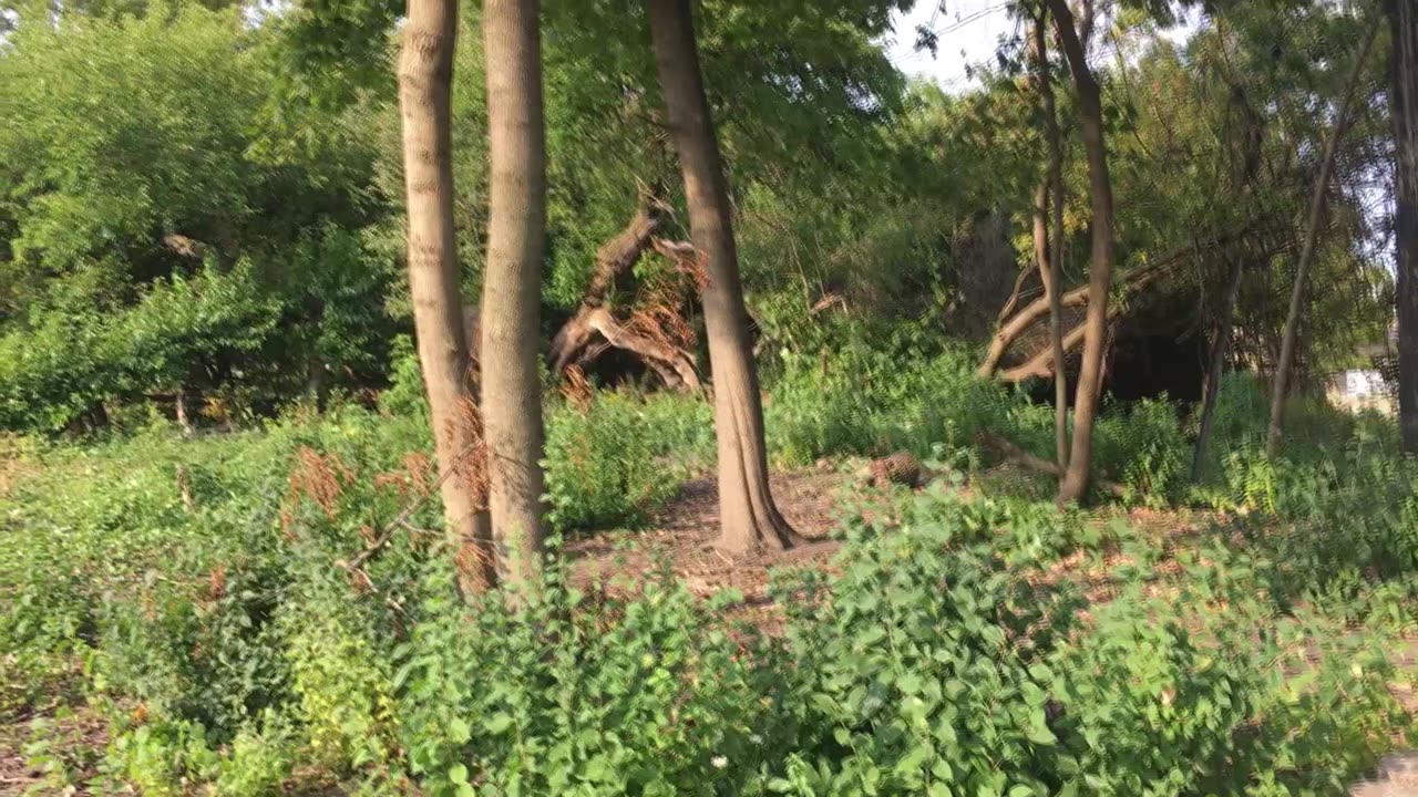 A Sad Labor Day Weekend