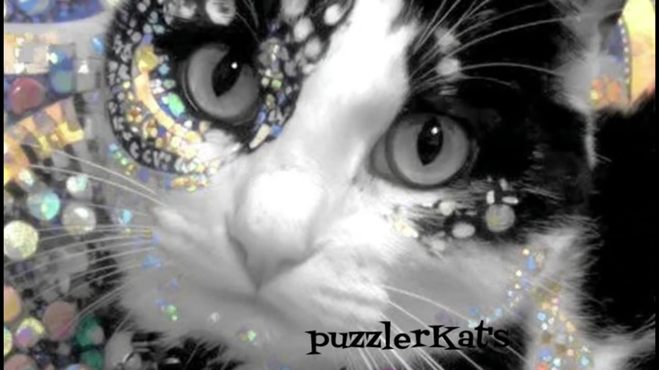 puzzlerKat's ✨ GLAM Night ✨