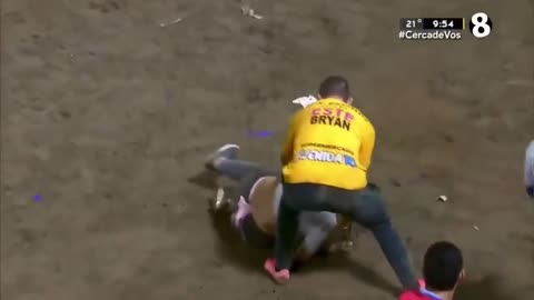 Bull gives a wedgie