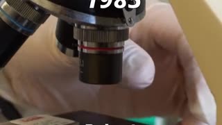 Fullerenes Were Discovered by Accident — A Carbon Vapor Surprise ⚫