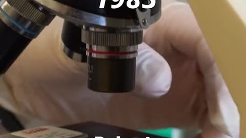 Fullerenes Were Discovered by Accident — A Carbon Vapor Surprise ⚫