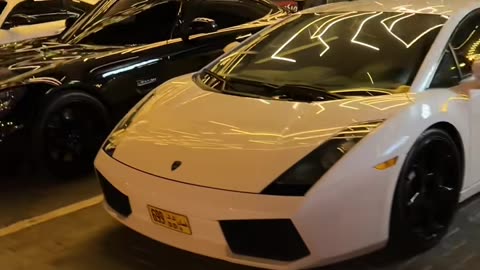 💎🏎️ The Definition of Exotic: This Car is Pure Art! | LuxurySportsCars