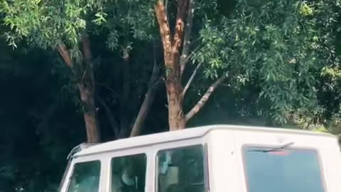 🤯💨 The Most AMAZING Luxury Car You'll See! | LuxurySportsCars