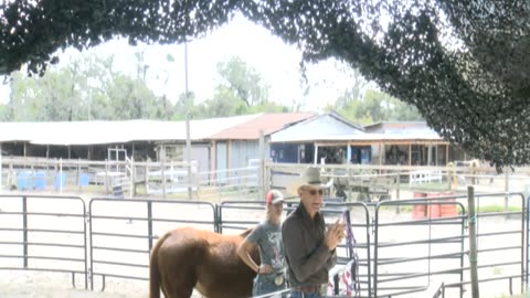 Skipper Calder & Cowboy-up Ministry bring horse training with a message at 11am.