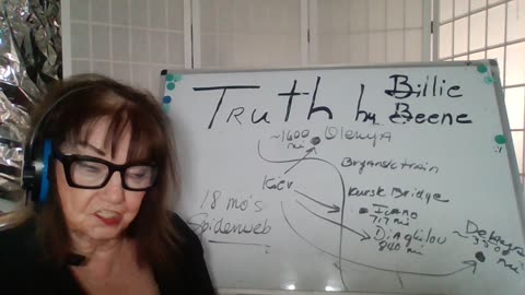 60225- 1P(TX)TRUTH BY BILLIE BEENE "NATAL STUFFING"! NATO/UKR HIT RUS BASES! PRES T-CLEAN HANDS!