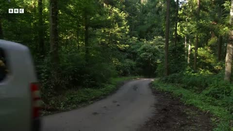 ‎Team Of Experts Outsmart Young Black Bear | 4K UHD | Wild Japan | BBC Earth