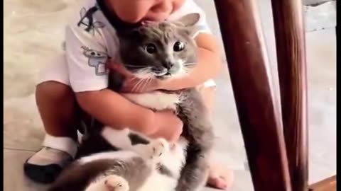 Cats always make me laugh, watching funny animal videos is better than Prozac