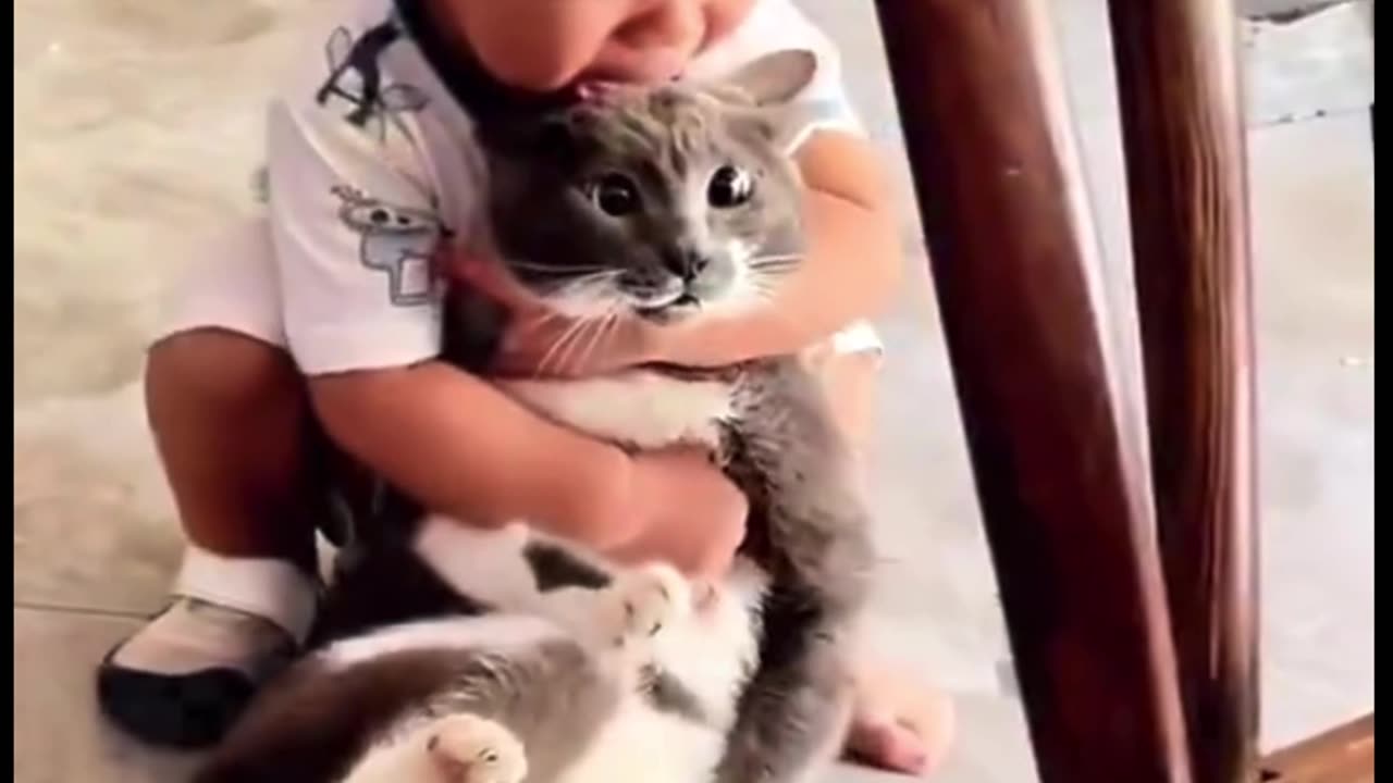 Cats always make me laugh, watching funny animal videos is better than Prozac