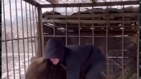 Send to Dagestan 2-3 years and forget