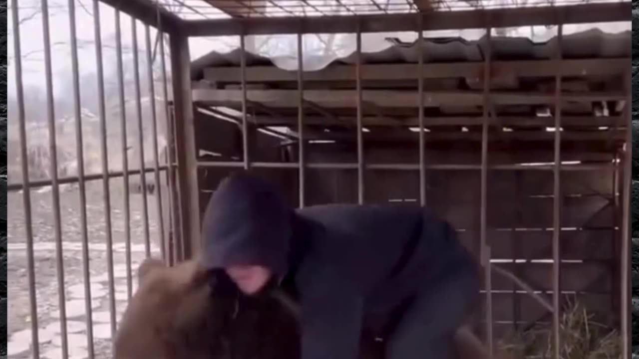 Send to Dagestan 2-3 years and forget