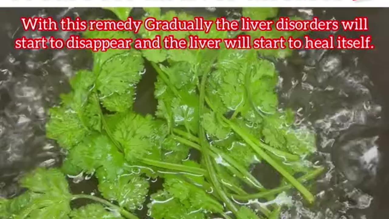 LIVER DETOX