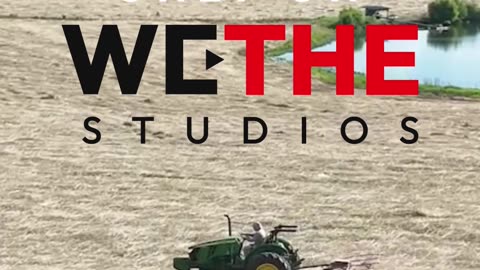 Raising Reynolds only on We The Studios