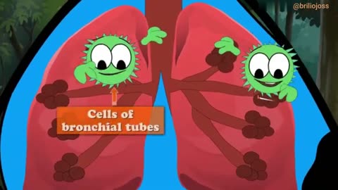 How does Smoking affect our Lungs?