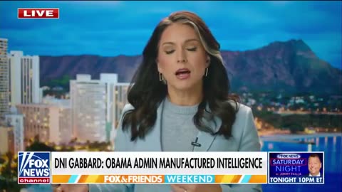 Obama Will Hate This... Gabbard Throws WRENCH In His Plan to Hide The Truth