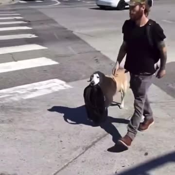 Lara Logan - Incredible that no one seems to care.