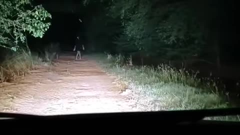 😨👽 Creepy Alien-like Entity Spotted on Camera! | TheHauntingHour