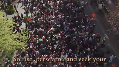 New Zealand witnessed its largest pro-Palestine protest ever