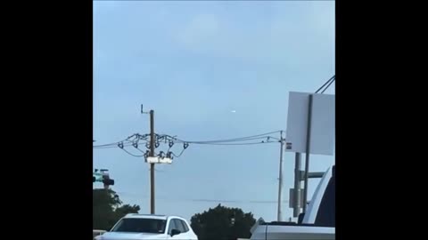 Un arbre en lévitation filmé en République tchèque