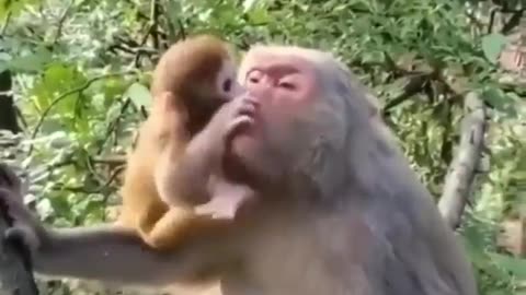 Mom, please let me go