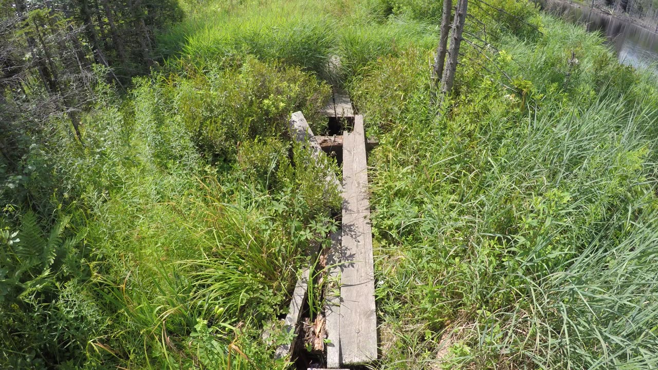 Thursday, June 8, 2023, walking around with snakes about on the Long Trail in Vermont