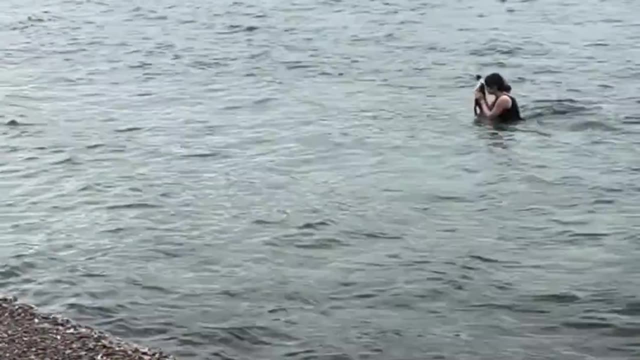 a woman entered the sea to rescue a cat that was about to drown.