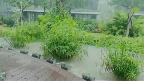 Soothing Rain by the Lakeside | Nature Sleep & Mind Relaxation