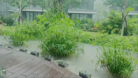 Soothing Rain by the Lakeside | Nature Sleep & Mind Relaxation